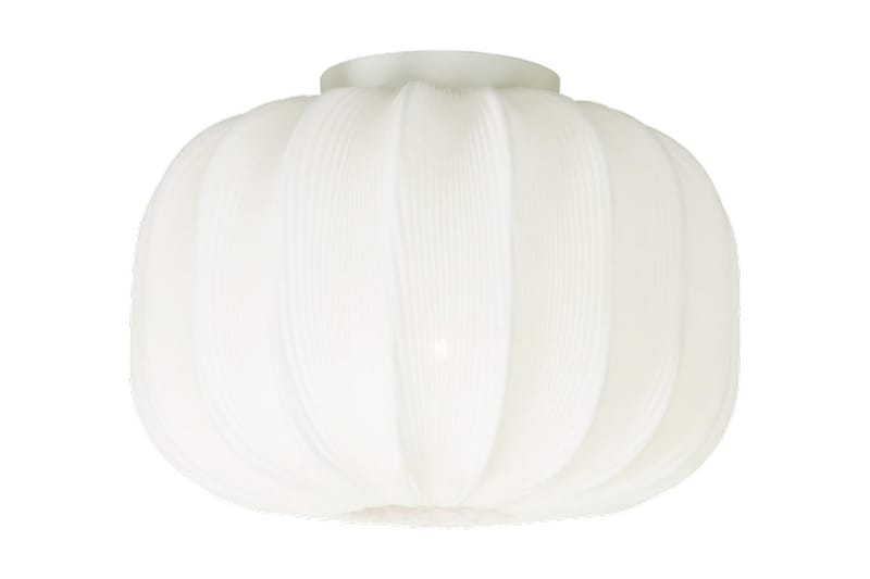 Aneta Madame Plafond 330 cm - Aneta Lighting - Belysning - Innendørsbelysning & Lamper - Taklampe