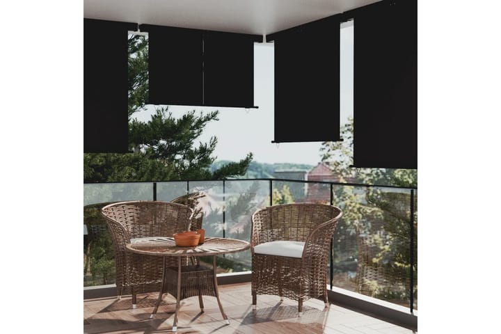 Sidemarkise for balkong 160x250 cm svart - Svart - Hagemøbler & utemiljø - Solbeskyttelse - Markiser