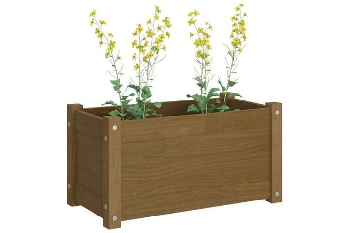 Blomsterkasse honningbrun 60x31x31 cm heltre furu - Brun - Innredning - Dekorasjon & innredningsdetaljer - Krukker - Hagekrukker