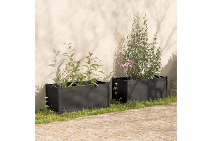 Plantekasse 2 stk grå 100x50x50 cm heltre furu - Grå - Innredning - Dekorasjon & innredningsdetaljer - Krukker - Hagekrukker