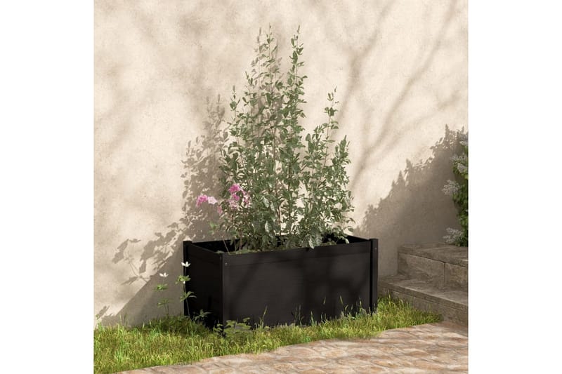 Plantekasse 2 stk svart 100x50x50 cm heltre furu - Svart - Interiør - Dekorasjon & innredningsdetaljer - Krukker - Hagekrukker