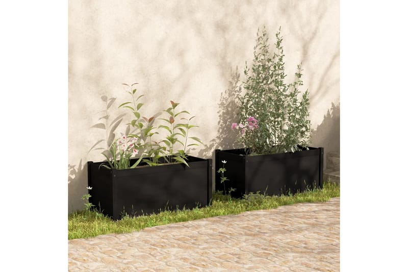 Plantekasse 2 stk svart 100x50x50 cm heltre furu - Svart - Hagemøbler & utemiljø - Balkong & terrasse - Balkongdyrking - Blomsterkasser