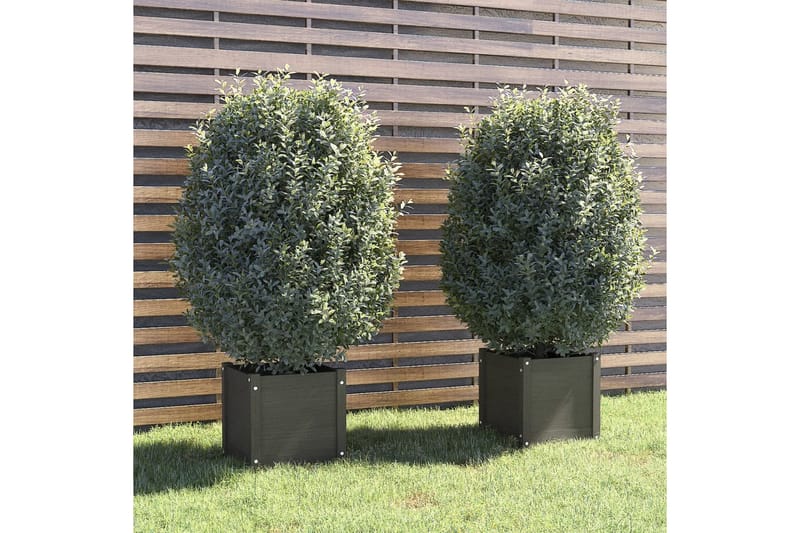 Plantekasser 2 stk grå 40x40x40 cm heltre furu - Grå - Interiør - Dekorasjon & innredningsdetaljer - Krukker - Hagekrukker