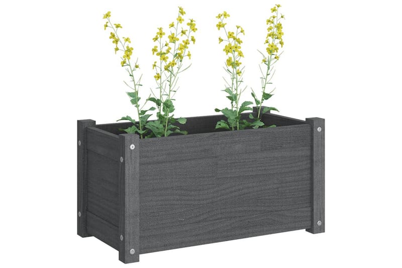 Plantekasser 2 stk grå 60x31x31 cm heltre furu - Grå - Innredning - Dekorasjon & innredningsdetaljer - Krukker - Hagekrukker