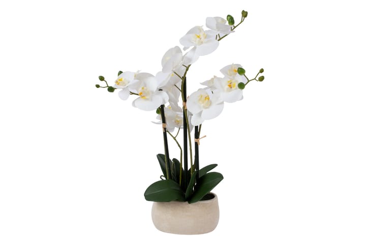 Kunstig Orkide In Garden Hvit - Innredning - Dekorasjon & innredningsdetaljer - Pyntegjenstand - Blomsterdekorasjon