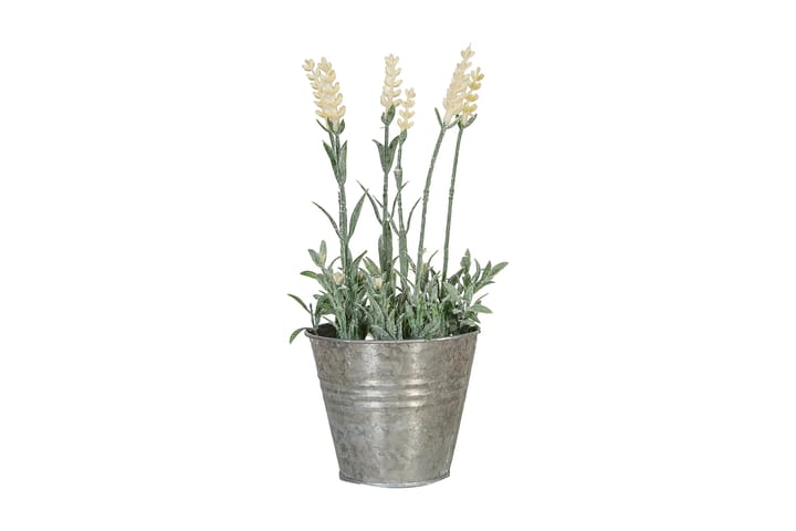 Kunstig Plante In Garden m/ Potte 25cm - Hvit - Interiør - Dekorasjon & innredningsdetaljer - Kunstige planter