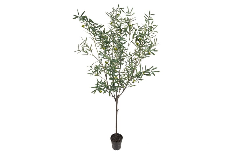 Kunstplante Oliven 230 cm - Grønn - Møbler - Stoler - Krakk - Puff