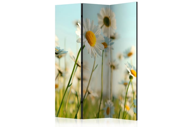 Romdeler Daisies - Spring Meadow - 113x517 cm - Innredning - Dekorasjon & innredningsdetaljer - Romdelere