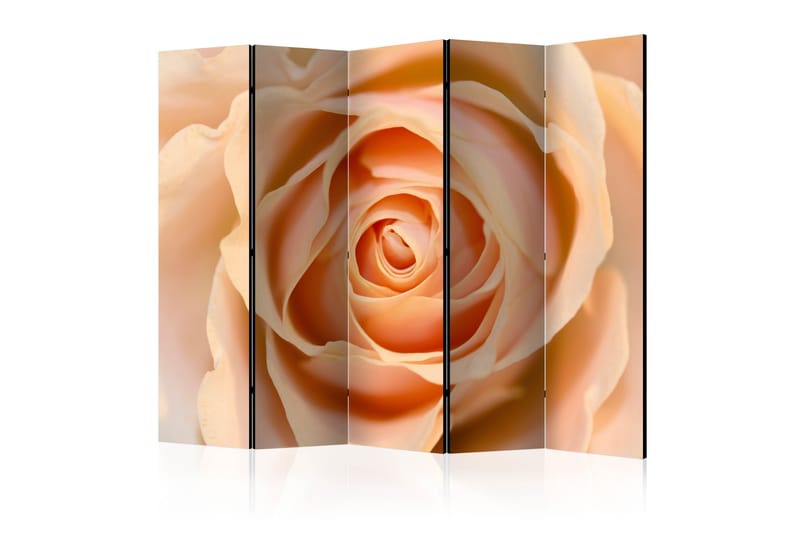 Romdeler - Peach Colored Rose II 225x172 - Artgeist sp. z o. o. - Interiør - Dekorasjon & innredningsdetaljer - Romdelere