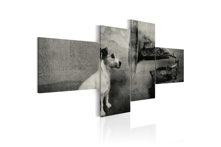 Bilde A Gramophone And A Dog 100x45 - Artgeist sp. z o. o. - Innredning - Plakater & posters - Lerretsbilder