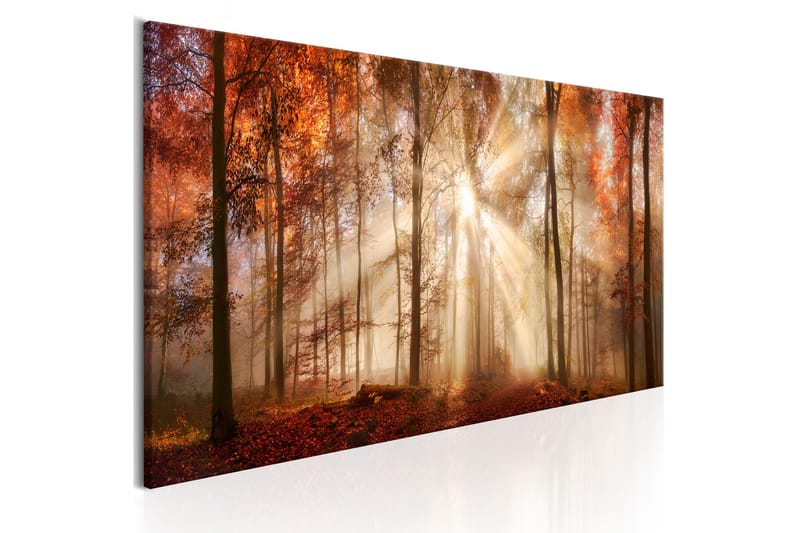 Bilde Autumnal Dawn 150x50 - Artgeist sp. z o. o. - Interiør - Plakater & posters - Lerretsbilder