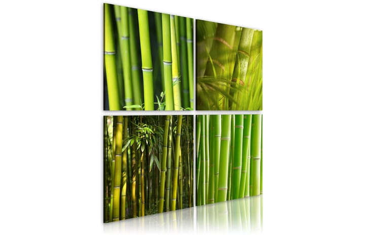 Bilde Bambus 80x80 - Artgeist sp. z o. o. - Innredning - Plakater & posters - Lerretsbilder