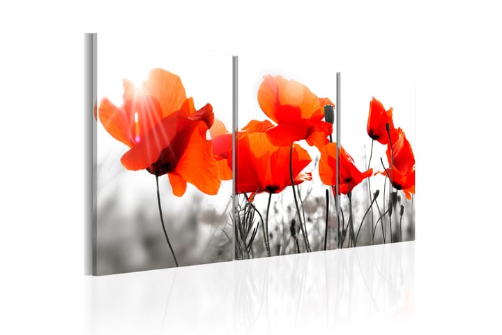 Bilde Charming Poppies 120x60 - Artgeist sp. z o. o. - Innredning - Plakater & posters - Lerretsbilder