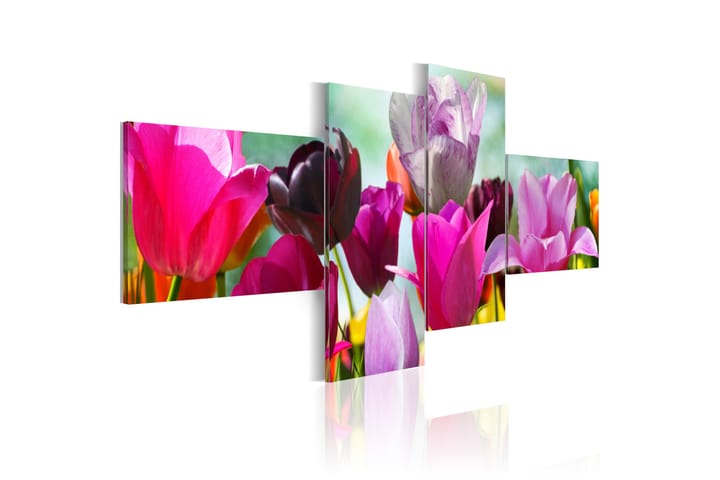 Bilde Charming Red Tulips 200x90 - Finnes i flere størrelser - Innredning - Plakater & posters - Lerretsbilder