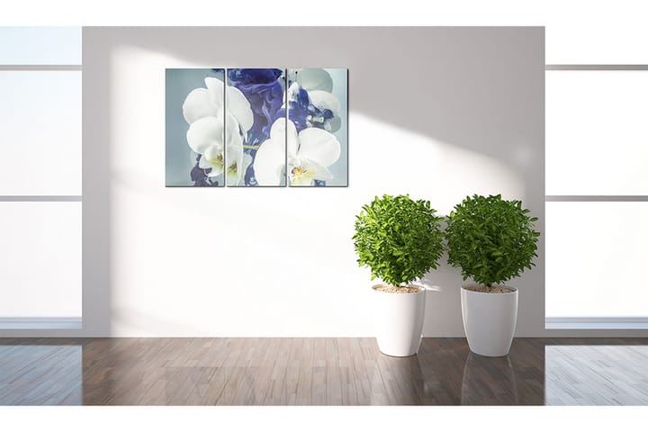 Bilde Chimeric Orchids 90x60 - Artgeist sp. z o. o. - Innredning - Plakater & posters - Lerretsbilder