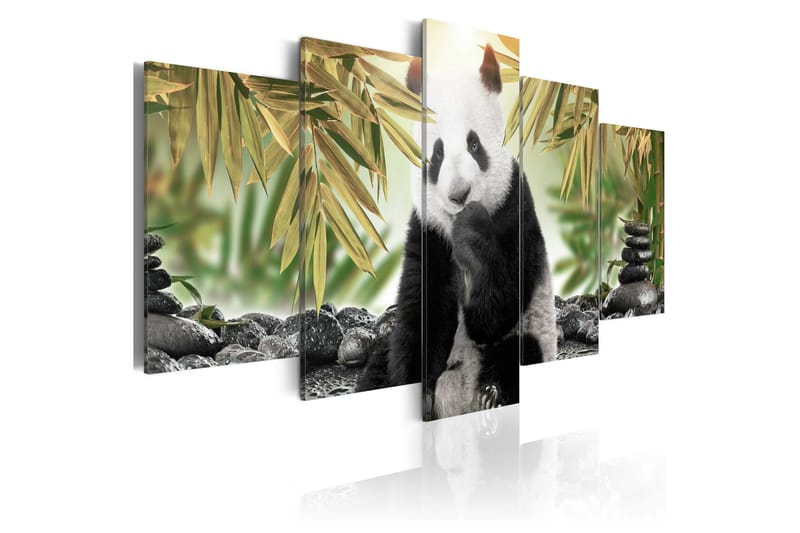 Bilde Cute Panda Bear 200x100 - Finnes i flere størrelser - Innredning - Plakater & posters - Lerretsbilder