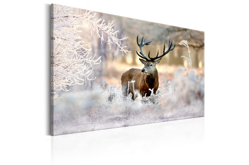 Bilde Deer In The Cold 120x80 - Artgeist sp. z o. o. - Interiør - Maleri & posters - Lerretsbilder