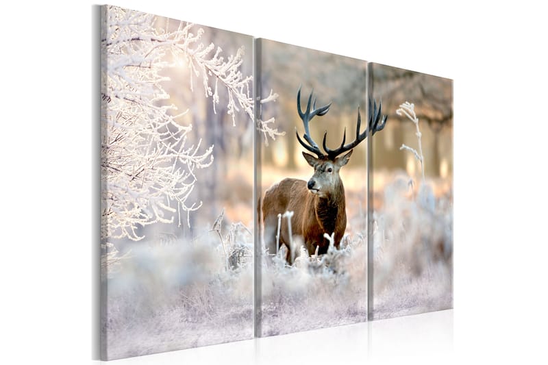 Bilde Deer In The Cold 120x80 - Finnes i flere størrelser - Innredning - Plakater & posters - Lerretsbilder