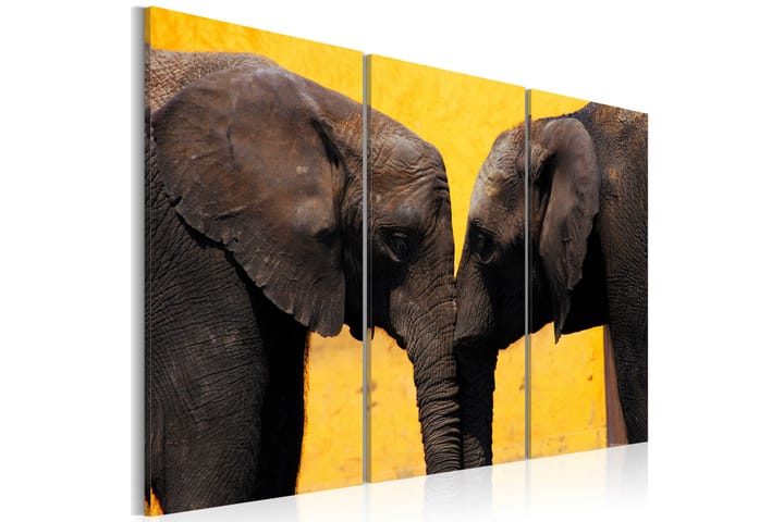 Bilde Elephant Kiss 120x80 - Artgeist sp. z o. o. - Interiør - Plakater & posters - Lerretsbilder