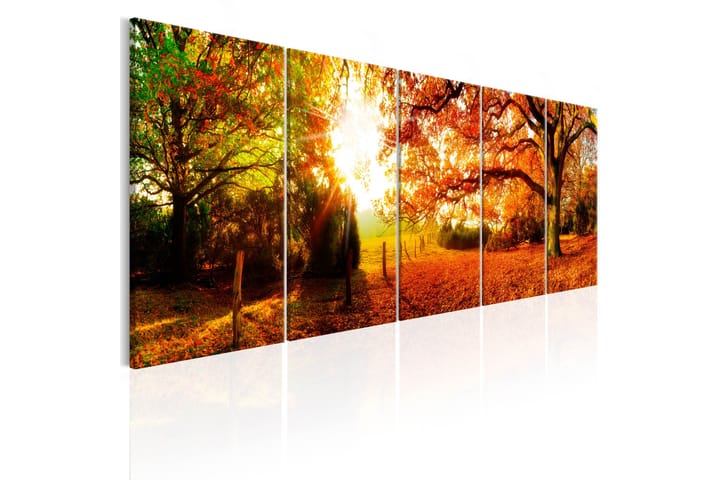 Bilde Enchanting Autumn 200x80 - Artgeist sp. z o. o. - Interiør - Plakater & posters - Lerretsbilder