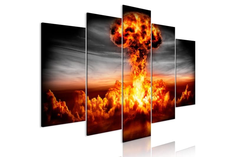 Bilde Explosion 5 Parts Wide 100x50 - Artgeist sp. z o. o. - Innredning - Plakater & posters - Lerretsbilder