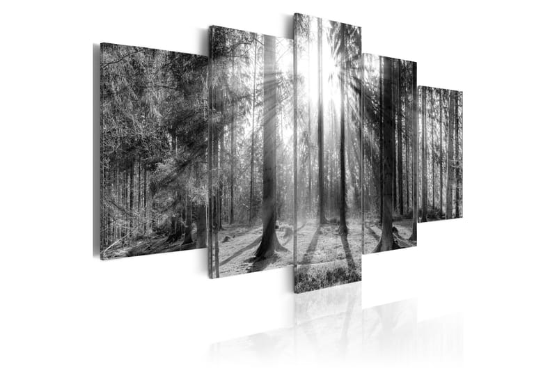 Bilde Forest Of Memories 200x100 - Artgeist sp. z o. o. - Interiør - Maleri & posters - Lerretsbilder