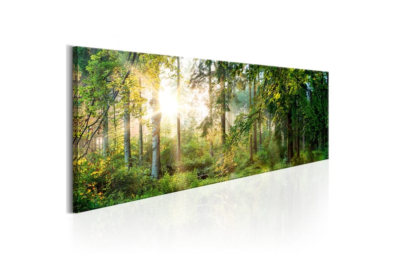 Bilde Forest Shelter 150x50 - Artgeist sp. z o. o. - Innredning - Plakater & posters - Lerretsbilder