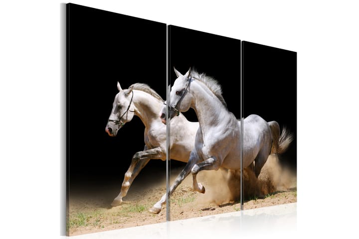 Bilde Horses- Power And Velocity 120x80 - Artgeist sp. z o. o. - Interiør - Plakater & posters - Lerretsbilder