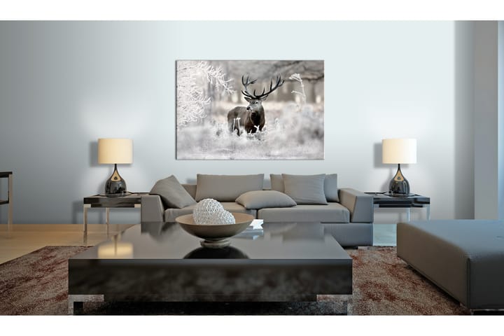 Bilde Lonely Deer 120x80 - Artgeist sp. z o. o. - Interiør - Maleri & posters - Lerretsbilder
