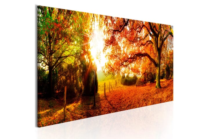 Bilde Magic Of Autumn 150x50 - Artgeist sp. z o. o. - Interiør - Maleri & posters - Lerretsbilder