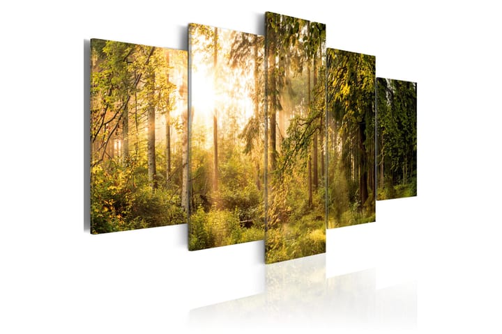Bilde Magic Of Forest 200x100 - Artgeist sp. z o. o. - Interiør - Maleri & posters - Lerretsbilder