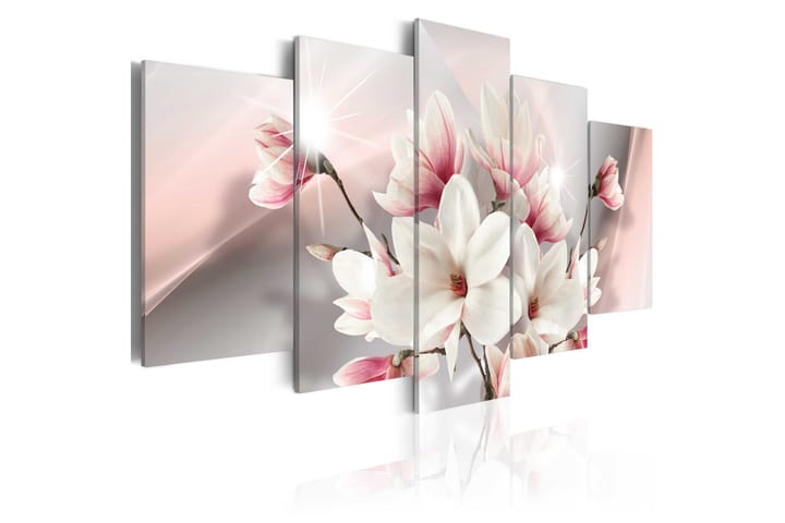Bilde Magnolia In Bloom 100x50 - Artgeist sp. z o. o. - Interiør - Plakater & posters - Lerretsbilder