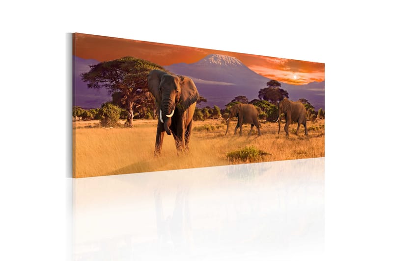 Bilde March Of African Elephants 120x40 - Artgeist sp. z o. o. - Interiør - Plakater & posters - Lerretsbilder