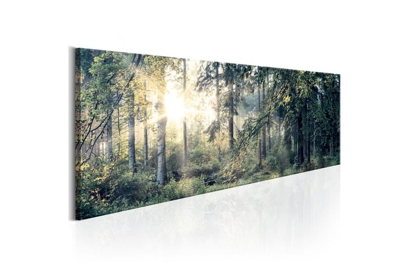 Bilde Morning Magic 150x50 - Flerfarget - Innredning - Plakater & posters - Lerretsbilder