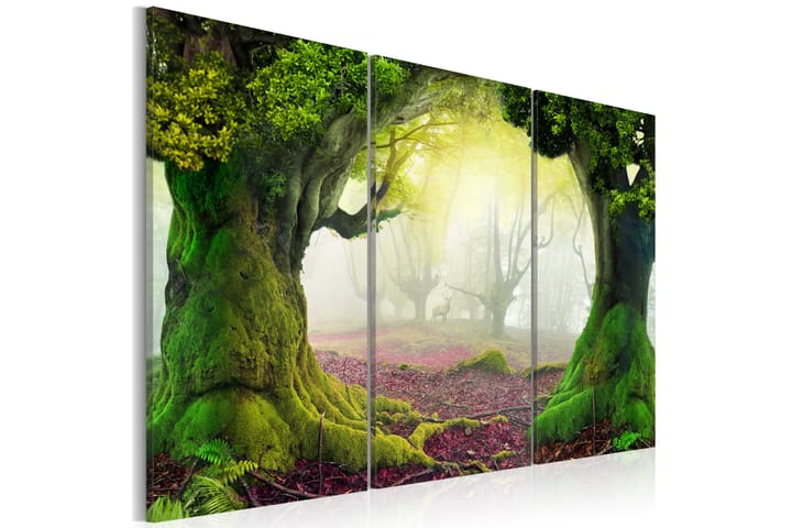 Bilde Mysterious Forest Triptych 60x40 - Artgeist sp. z o. o. - Interiør - Plakater & posters - Lerretsbilder