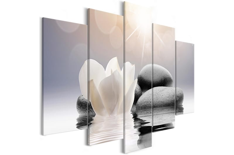 Bilde Natural Lightness 5 Parts Wide 200x100 - Artgeist sp. z o. o. - Interiør - Maleri & posters - Lerretsbilder