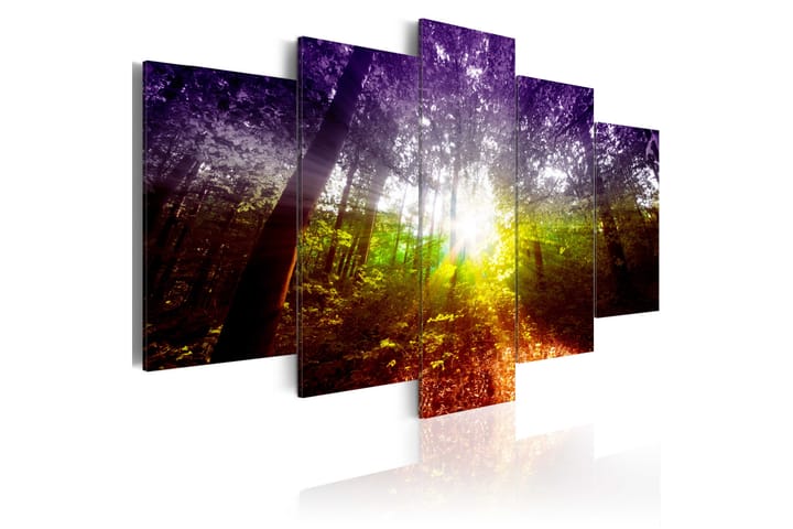Bilde Rainbow Forest 100x50 - Artgeist sp. z o. o. - Interiør - Plakater & posters - Lerretsbilder