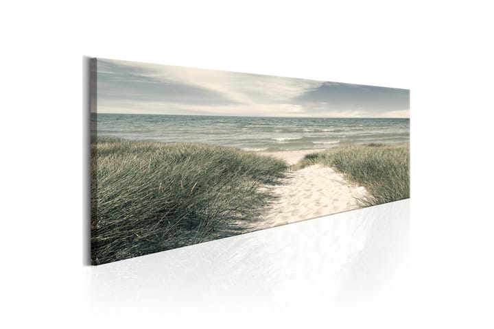 Bilde Secrets Of The Sea 150x50 - Finnes i flere størrelser - Innredning - Plakater & posters - Lerretsbilder