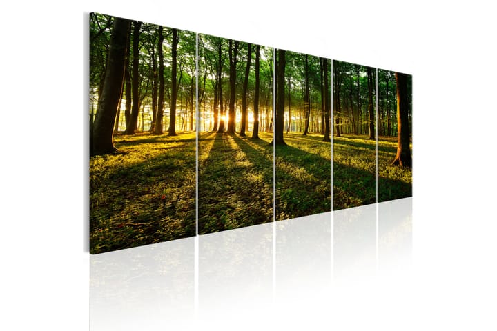 Bilde Shade Of Trees 200x80 - Artgeist sp. z o. o. - Interiør - Maleri & posters - Lerretsbilder