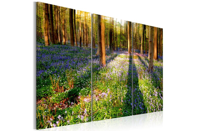 Bilde Spring Forest 120x80 - Artgeist sp. z o. o. - Innredning - Plakater & posters - Lerretsbilder