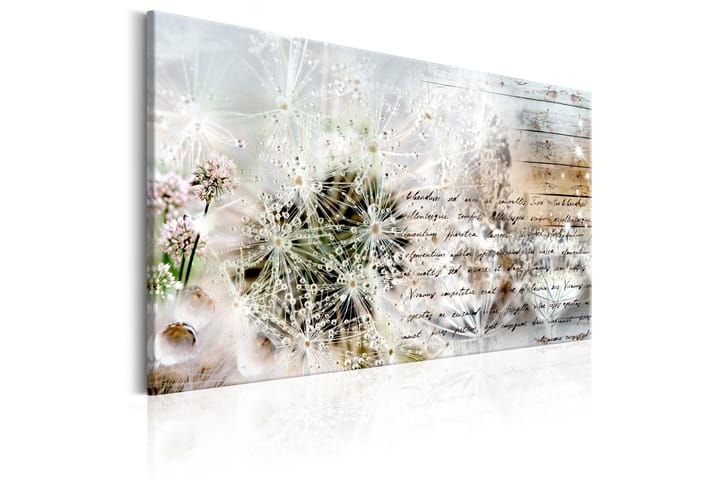 Bilde Starry Dandelions 90x60 - Artgeist sp. z o. o. - Innredning - Plakater & posters - Lerretsbilder