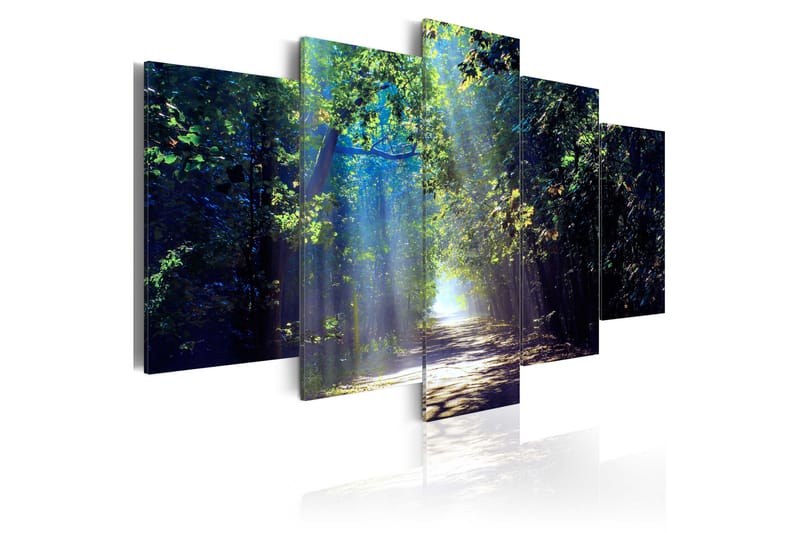 Bilde Sunny Forest Path 200x100 - Artgeist sp. z o. o. - Interiør - Plakater & posters - Lerretsbilder
