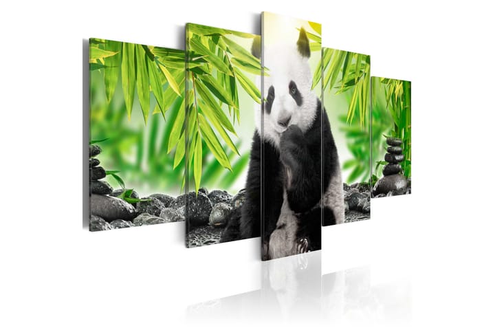 Bilde Sweet Little Panda 100x50 - Artgeist sp. z o. o. - Interiør - Plakater & posters - Lerretsbilder