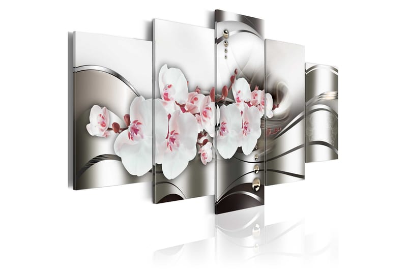 Bilde The Beauty Of Orchids 200x100 - Artgeist sp. z o. o. - Innredning - Plakater & posters - Lerretsbilder