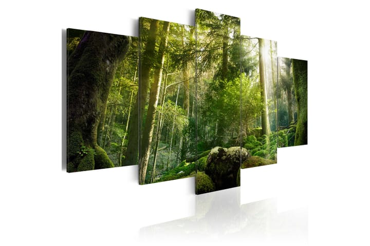 Bilde The Beauty Of The Forest 100x50 - Artgeist sp. z o. o. - Innredning - Plakater & posters - Lerretsbilder