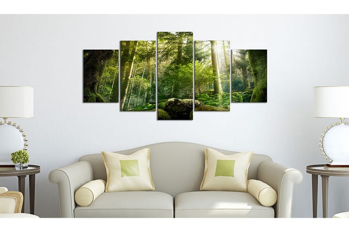 Bilde The Beauty Of The Forest 100x50 - Artgeist sp. z o. o. - Innredning - Plakater & posters - Lerretsbilder
