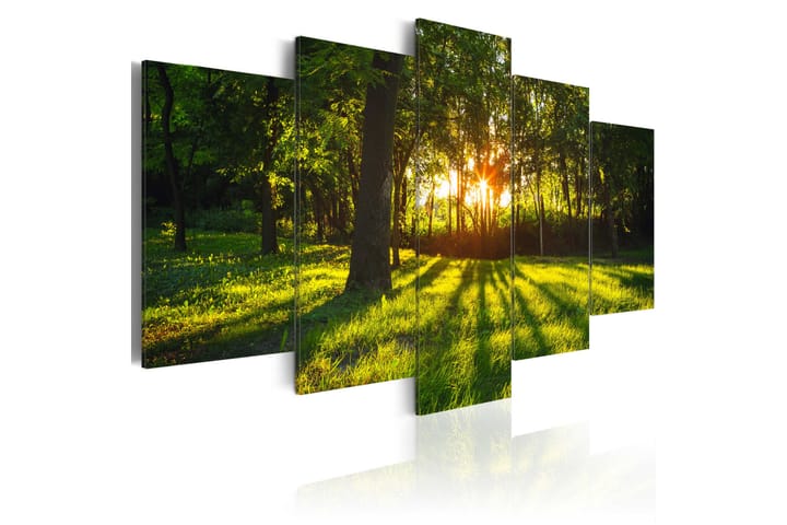 Bilde The Forest Reflection 200x100 - Finnes i flere størrelser - Innredning - Plakater & posters - Lerretsbilder