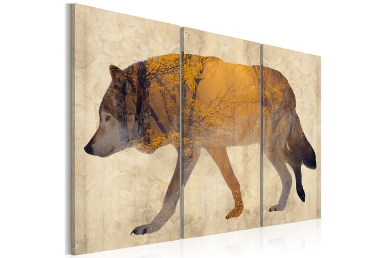 Bilde The Wandering Wolf 120x80 - Finnes i flere størrelser - Innredning - Plakater & posters - Lerretsbilder