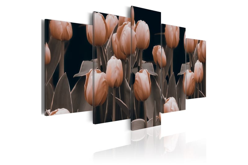 Bilde Tulipaner Sepia 100x50 - Artgeist sp. z o. o. - Innredning - Plakater & posters - Lerretsbilder