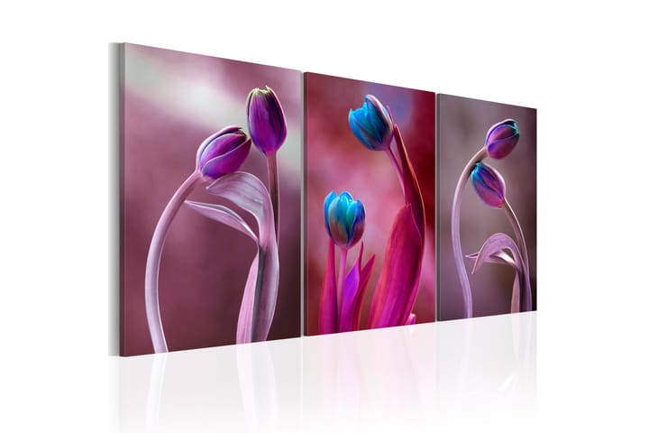Bilde Tulips In Love 60x30 - Artgeist sp. z o. o. - Interiør - Plakater & posters - Lerretsbilder